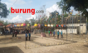 7c584740-400d-48da-9ce5-c30965d2a825