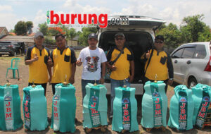 JBM TEAM