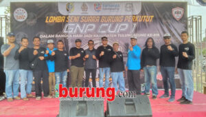 cefbc5e2-5682-4cfa-95db-d46742aaaa99