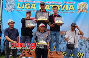 82cd7857-99ba-497c-a1e6-1caaf86dabf4