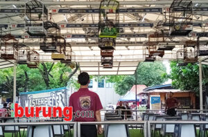 IMG_20241130_105758_1