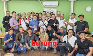 dki 1