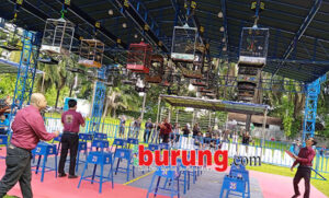 IMG_20250119_093057_1