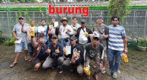 MAL SEL PB