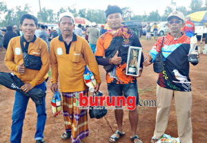 hosen hasil pulau