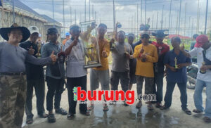 3235597c-484c-4a3a-b77d-5030d70d99bf