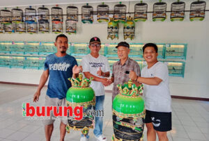 H. Didi boyong 2 ekor piyikan potensial dari Prosper 1234 BF.