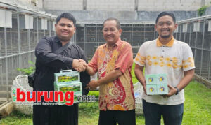 a934b3bf-c285-4b0f-bb0c-68f929651a14