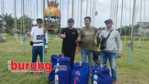 b8ea4837-95e4-4950-8665-d71373a0fd51