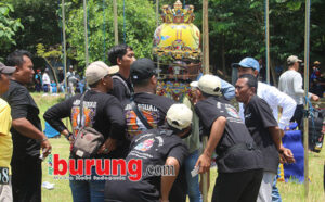 cek
