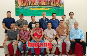 seleman utama
