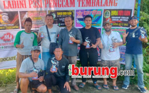 29b8d025-79c9-4198-bb77-520602bf59b7 copy