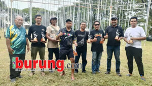 BD ASLI copy
