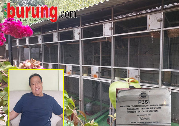 Markas Nadira BF Jakarta milik H. Pendi.