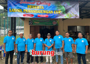 043538db-3808-43b9-bf29-ae5926a8e788