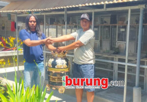 6a1d6460-4908-4695-9951-202320b727f6