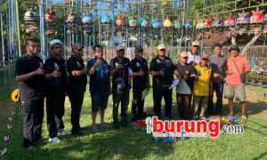 9ee8bf35-d1e6-40f3-af3b-04bb7bb4233c