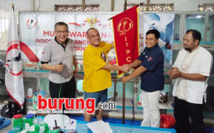 Indus Nayra Farm mewakili pengurus pusat menyerahkan tunggul kepemimpinan IFPC kepada Presiden terpilih