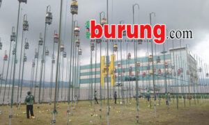 Lapangan P3SI Pengda Kab. Bandung di Soreang, siap gelar LPJB #3. copy