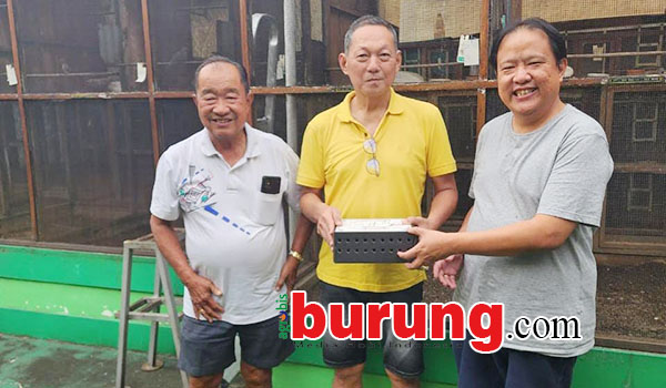 Watma Subandi (kiri) dan Hendry WAT (kanan), konsisten sejak dulu.