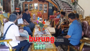 3b4dea41-63ad-46ba-985a-16563b8d75dd