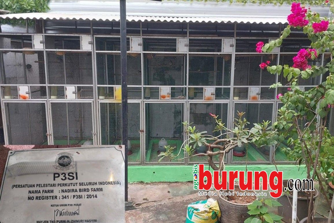 H. Pendi Nadira (kiri) dan Hendry WAT. 