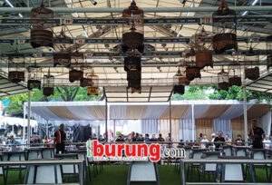 suasana lomba kelas branjangan