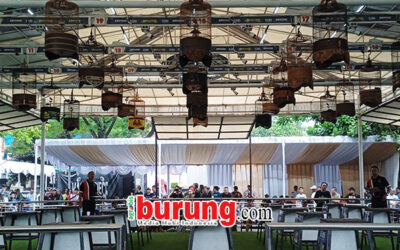suasana lomba kelas branjangan