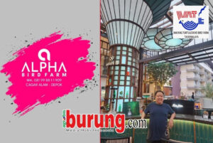 Alpha BF Depok di-support Hendry WAT Tasikmalaya.