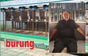 Hendry WAT & kandang WAT BF Tasikmalaya.