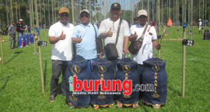 ababil jember