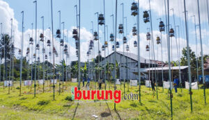 cilacap 1