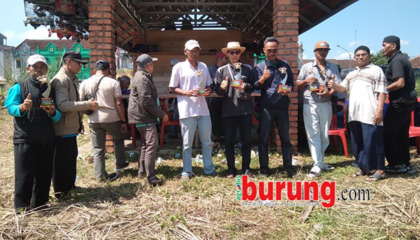 skbm Juara piyik yunior