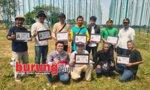 Juara kelas piyik bebas.