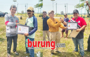 Kurman kawal Blue Star bersinar & Sniper ngorbit ditangan Defri Eyaka.