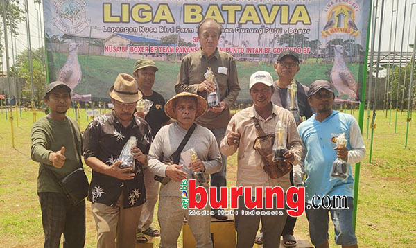 Juara dewasa yunior.