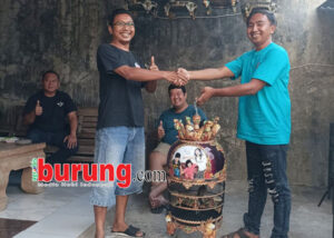 bintang ts