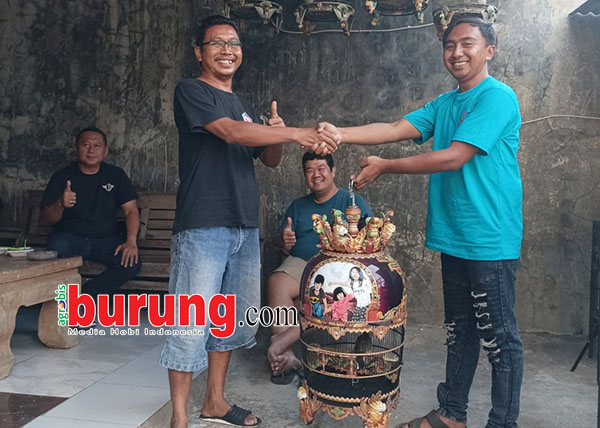bintang ts