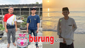 Uki (foto kanan) di Yaman & H. Mursalim bersama Zaenal ZN didepan kandang UKI BF Palu.