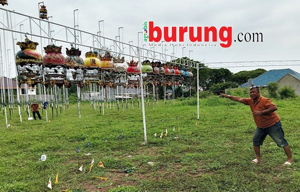 a88a3c7b-d2d2-4d5f-bd53-8c1b59646b00