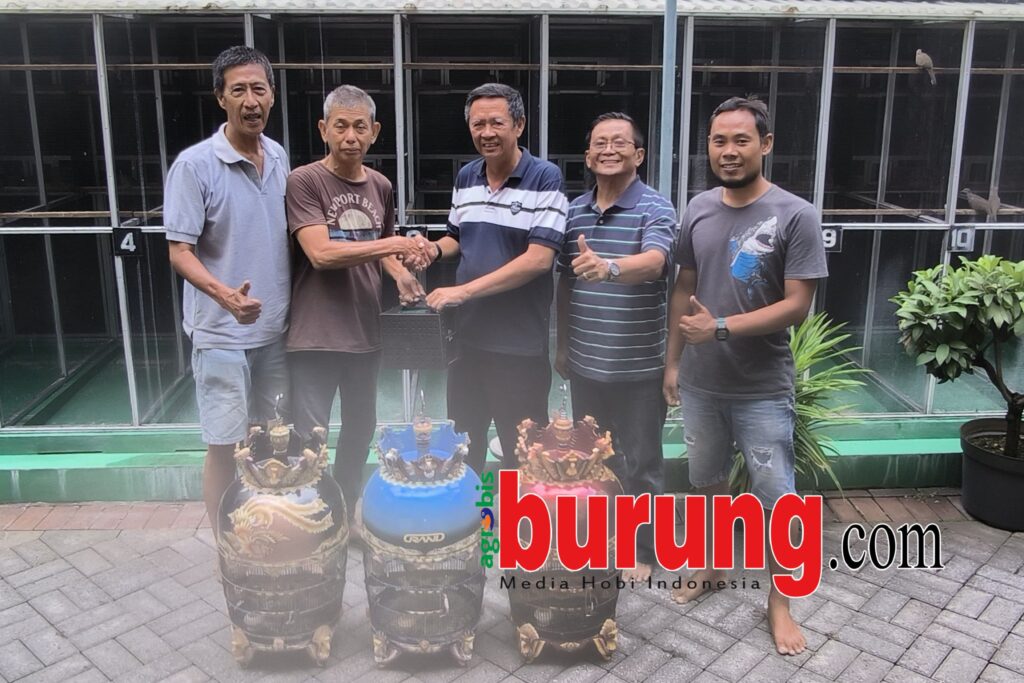 eZy_watermark_25-09-2025_06-13-06