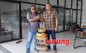 hribut