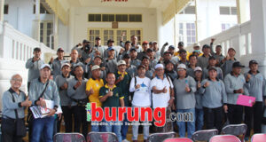 juri panitia