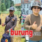 Jawara Pacil Orbitan Anyar 3F BF BSD Terbaik DS di LP. Batavia #9 Bekasi, Anak 3F K-Beethoven (Magnum M.1/Rajendra x TMC K.31/Adik Gladiator)