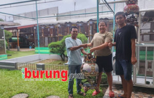 86bd7591-8bcd-422e-9348-d61d98dbe5eb