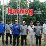 Diserbu kungmania Luar Tuban, duet Jawara bergelang Jupiter Milik Sony Surabaya & Jawara Cah Samin Melesat Di Liga Bumi Roban Pengda Tuban Cup 2025