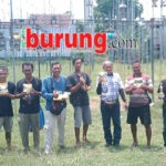 Bangkitnya Perkutut Madiun, Jawara Monica & Cholil jadi Rising Star di Liga Hanging Madiun 2025