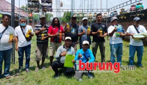 nasrun 3