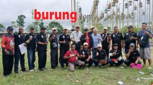 bd11a731-31f6-4e19-9e83-f3a77a5dcf08