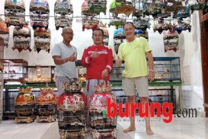 eZy_watermark_08-11-2025_06-06-22